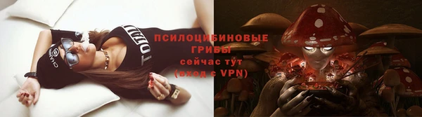 шишки Абаза