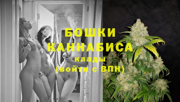 тгк Ростов